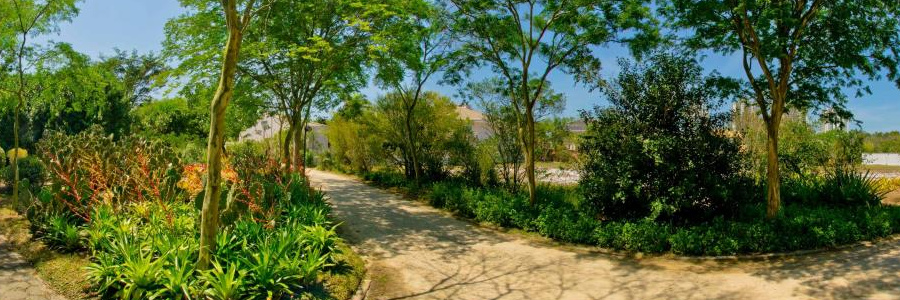 pedras de itauna trilha_small