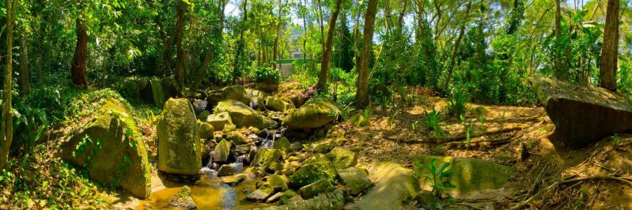 greenwood cachoeira_small