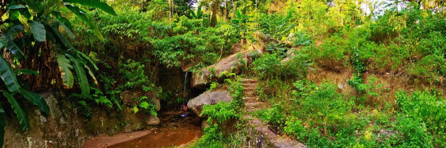 verde vale cachoeira_small
